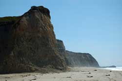Scott Creek beach cliffs
